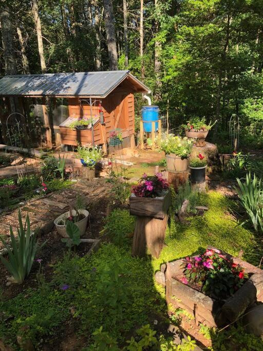 Beautiful & Peaceful W/ Deck Garden & Fire-pit *