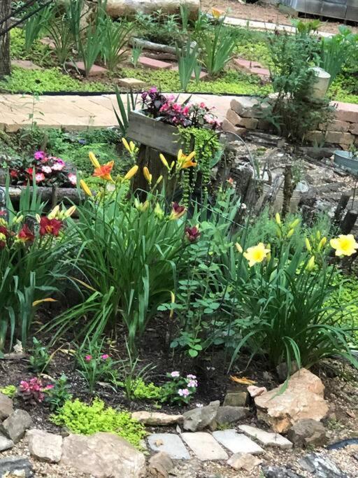 Beautiful & Peaceful W/ Deck Garden & Fire-pit *